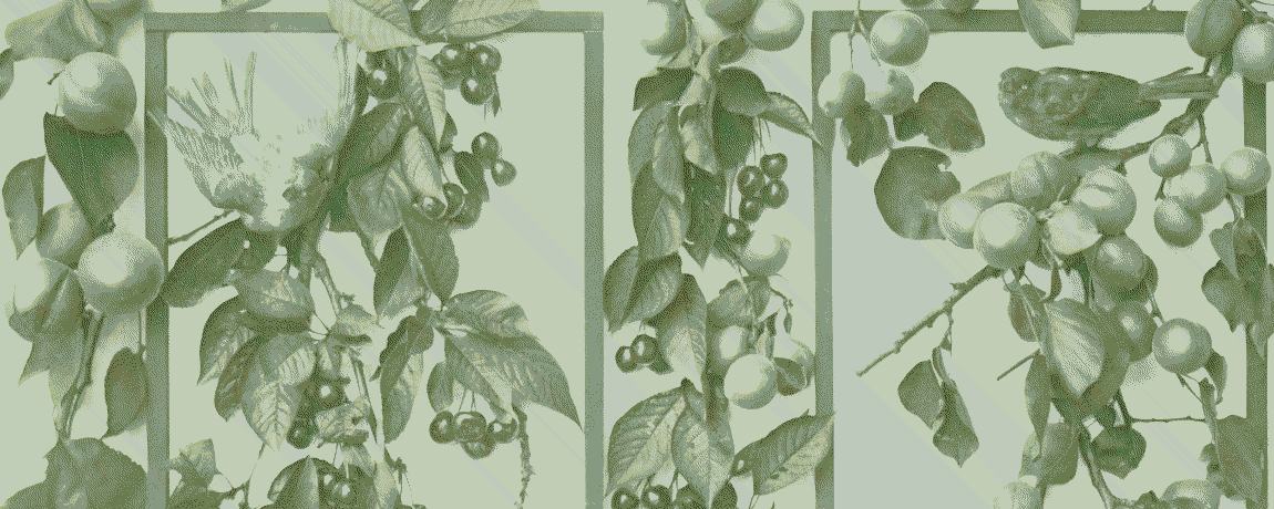 from Martin Gerlach’s Decorative Groupings